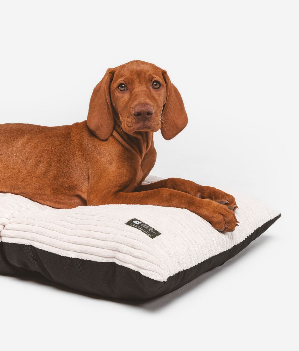 Basic Bone White Cord-Hundekissen, Bela
