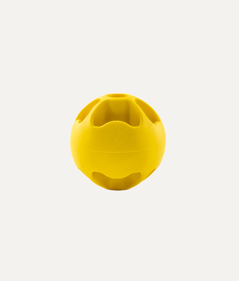 Yellow Dog Toy, Rolo