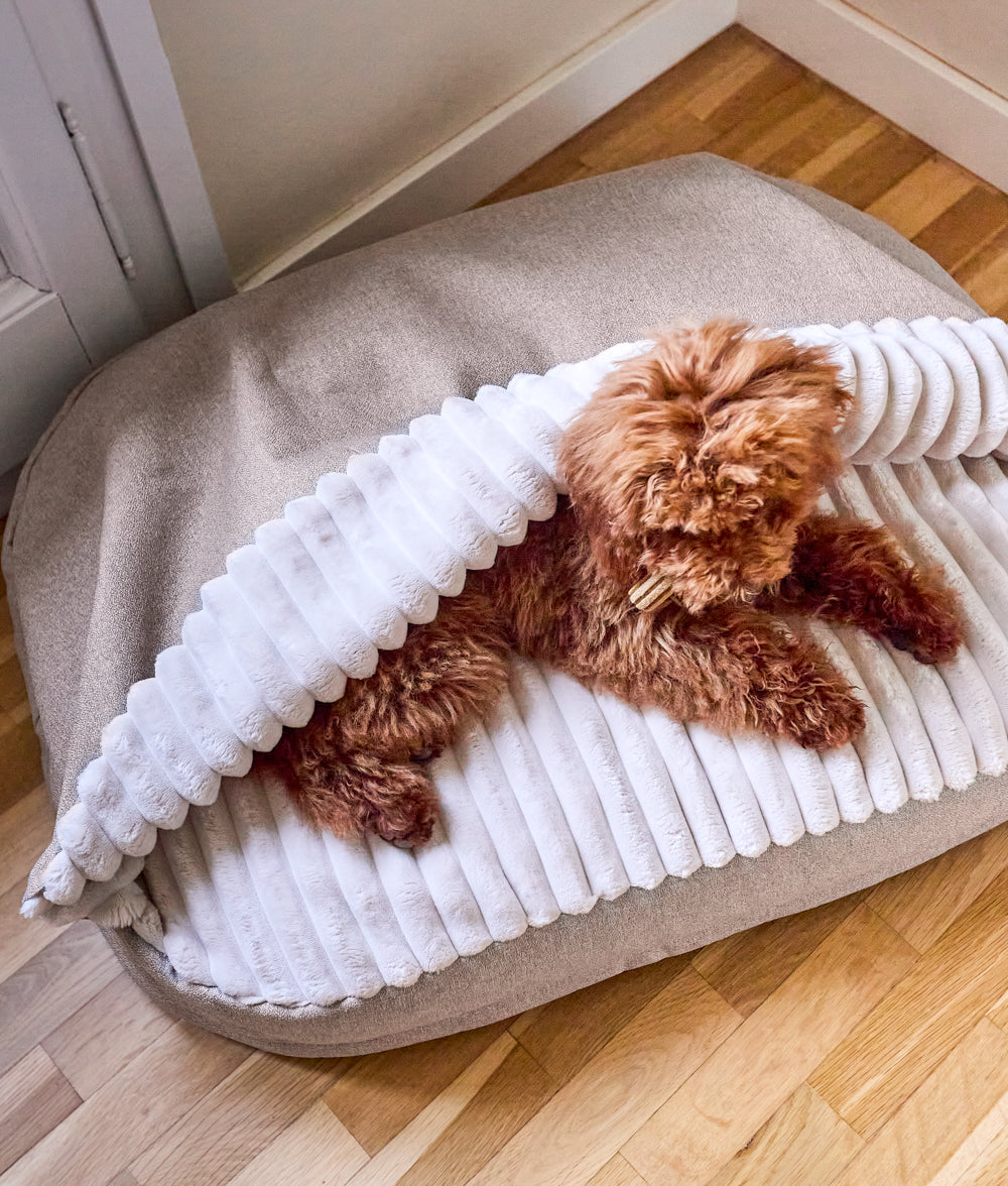 Beiges Hundebett aus Chenille mit Kapuze, Maso