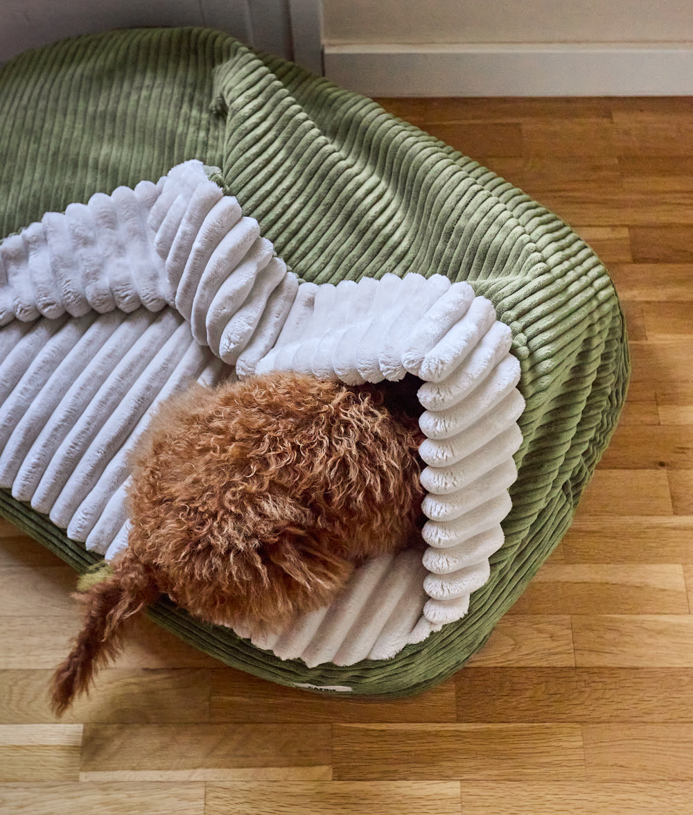 Grünes Hundebett mit Kapuze aus Cord, Maso