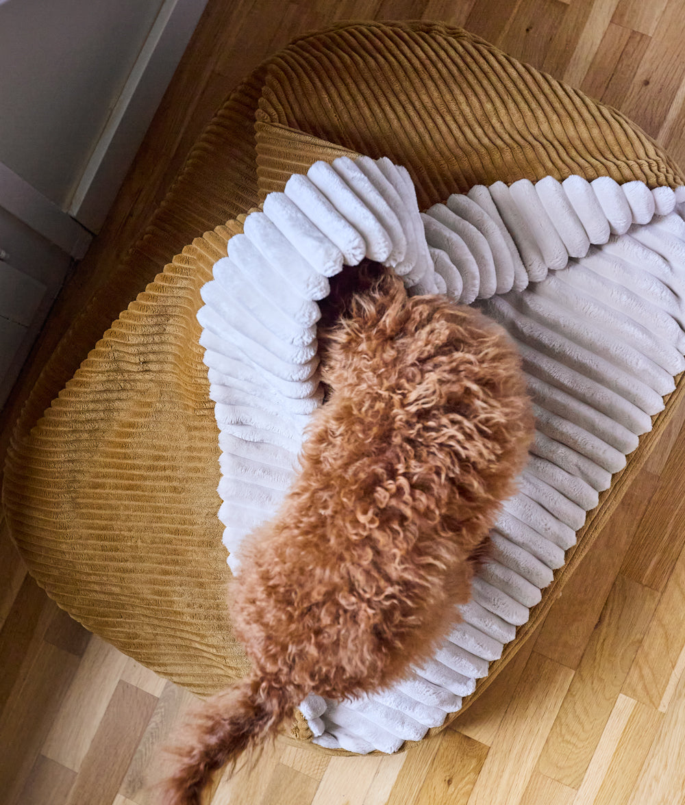 Senfgelbes Hundebett mit Kapuze aus Cord, Maso