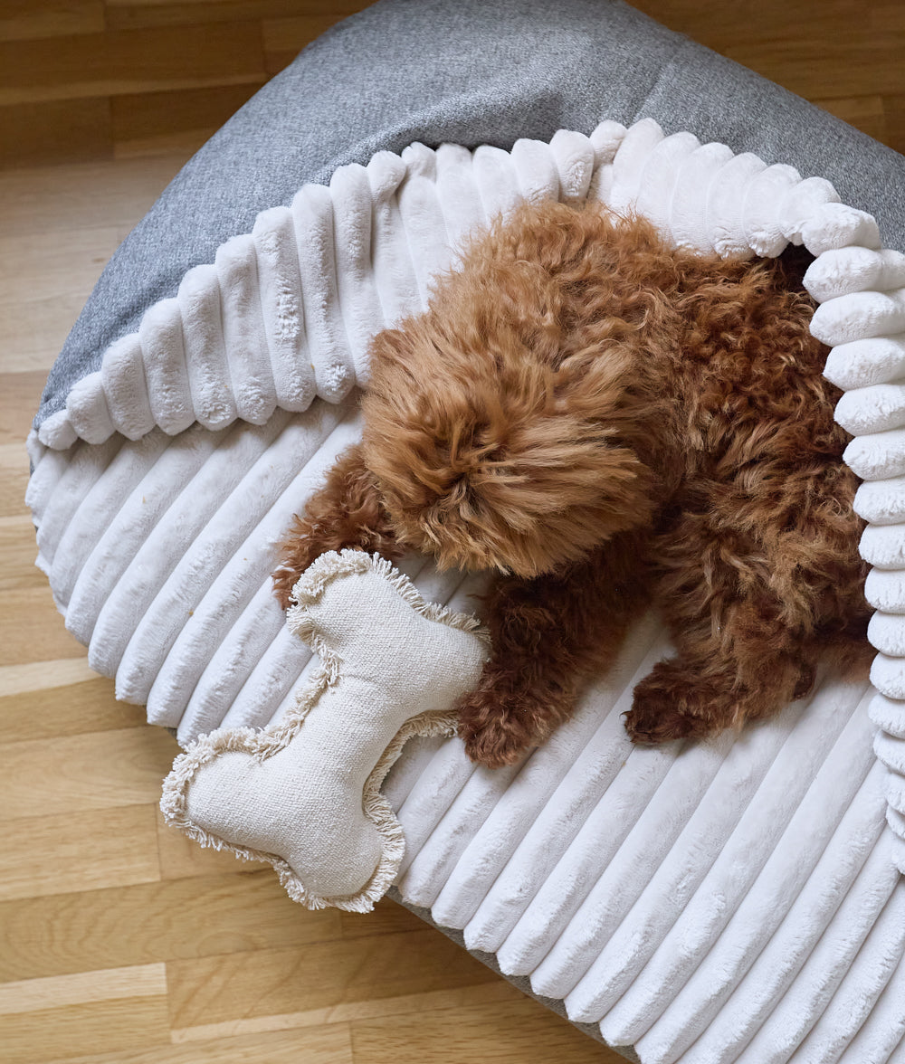 Graues Hundebett aus Chenille mit Kapuze,  Maso