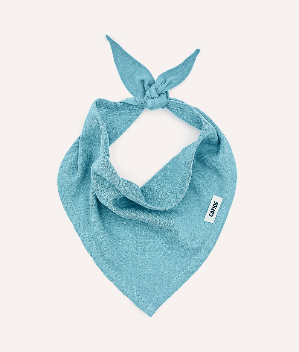 Dog Bandana Design Mint Green, Nata