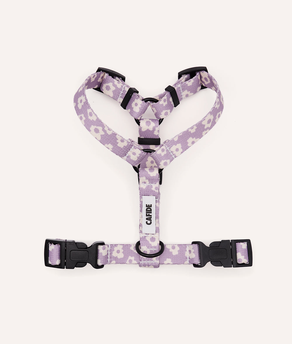 Geschirr aus recyceltem PET, violettes Design, Juno