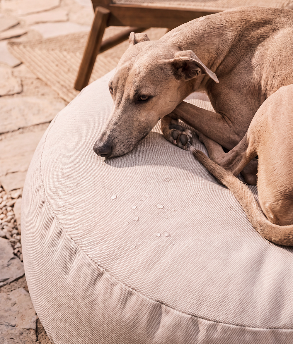 Beige Dog Bed for Indoor and Outdoor, Calos 