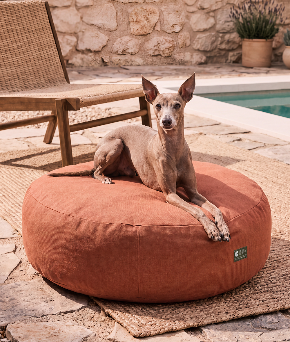 Terracotta Dog Bed for Indoor and Outdoor, Calos 