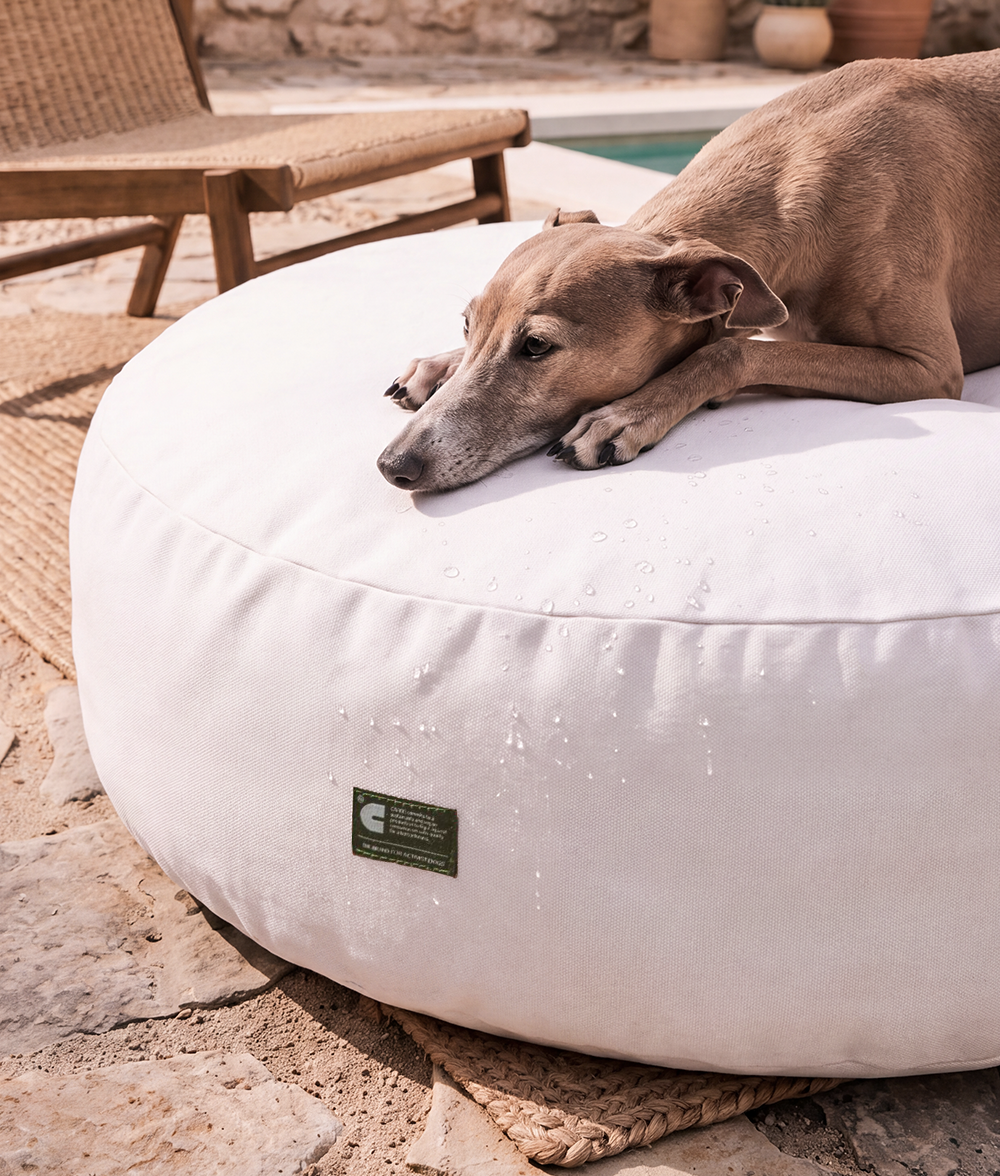 White Dog Bed for Indoor and Outdoor, Calos 