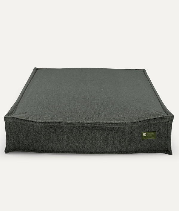 Green Dog Bed, Cuadra