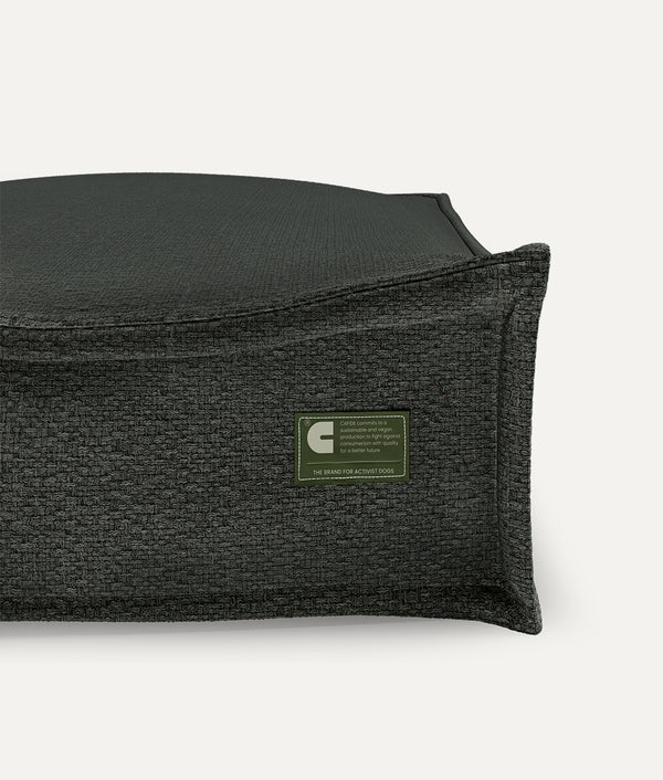 Green Dog Bed, Cuadra