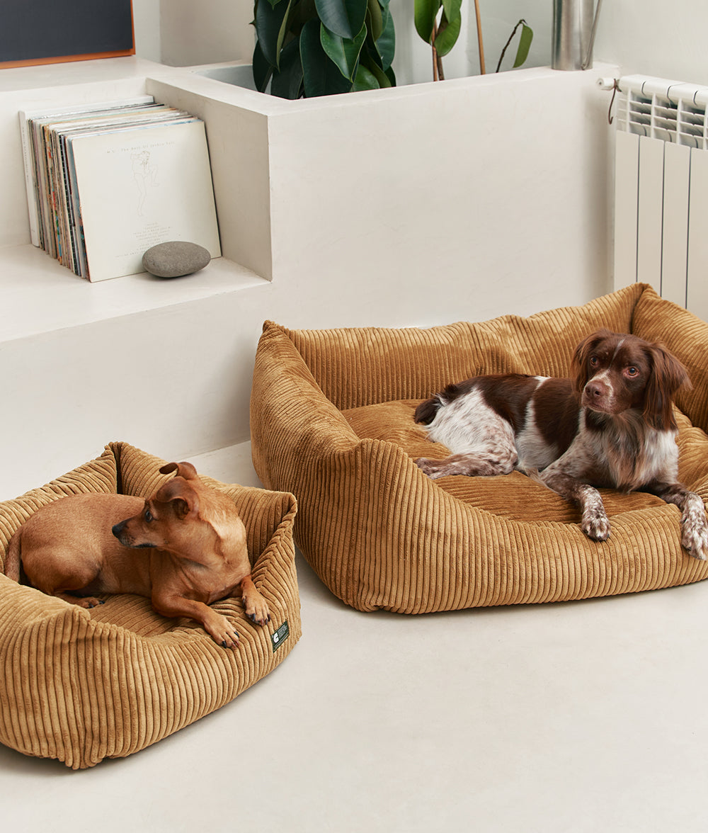 Senf Cord Hundebett, Snozy 