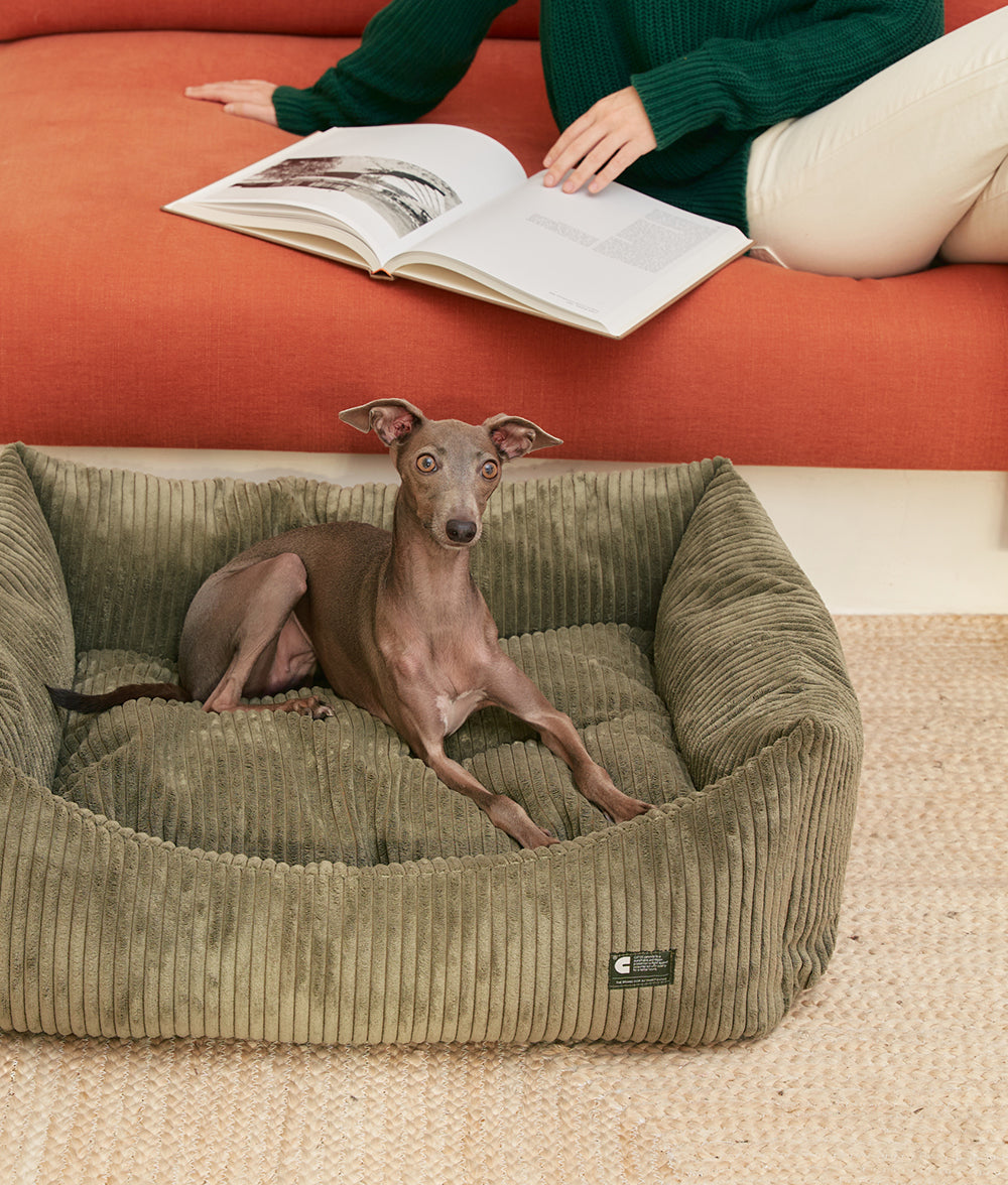 Green Corduroy Dog Bed, Snozy 