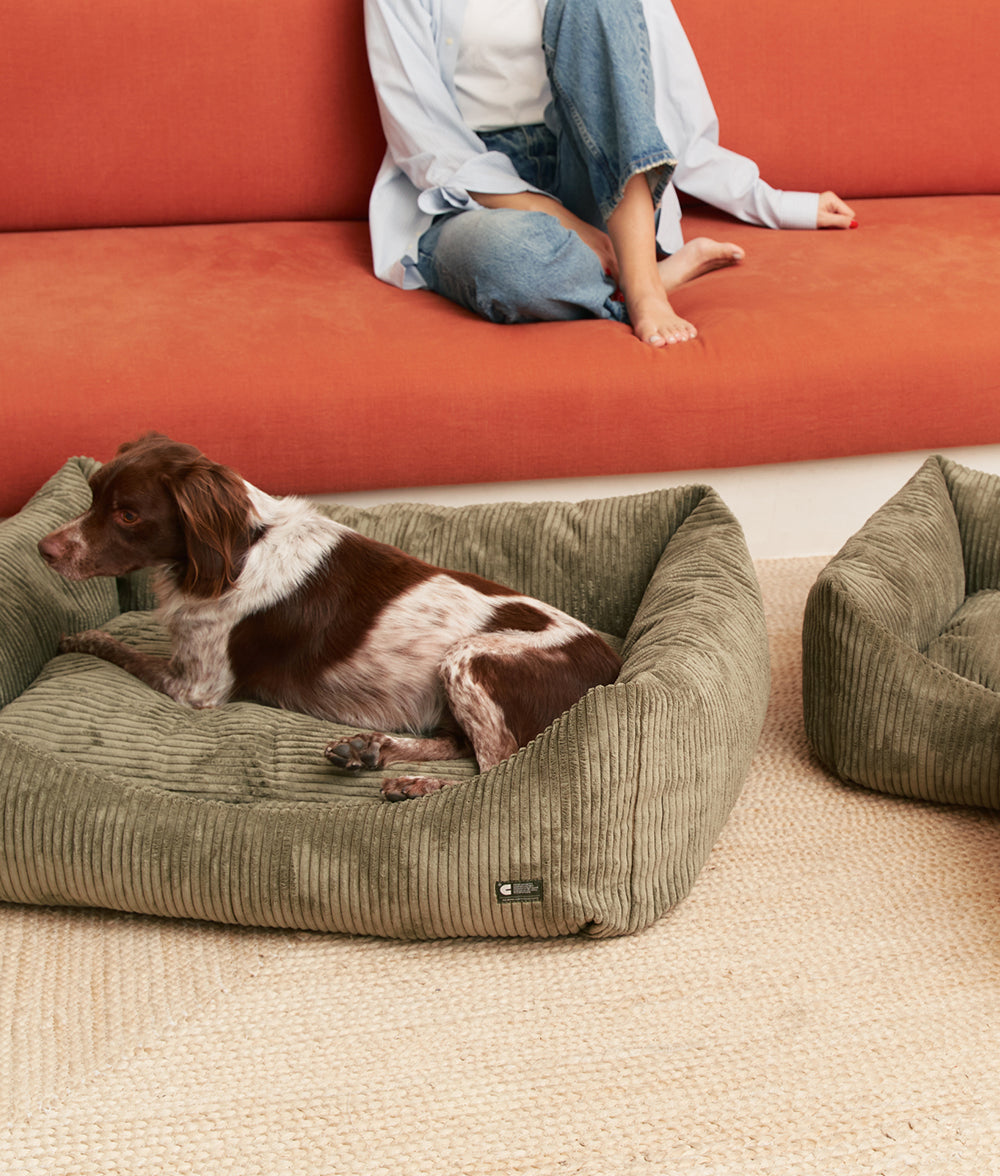 Green Corduroy Dog Bed, Snozy 