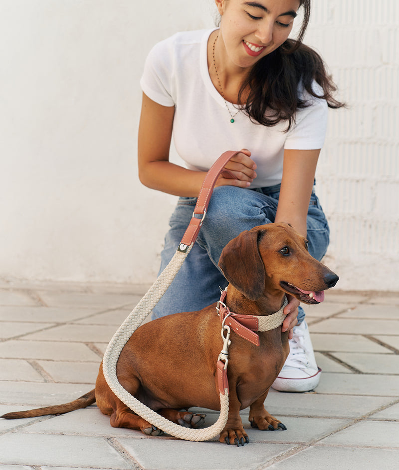 Collar Cuero Vegano Marrón, Corda