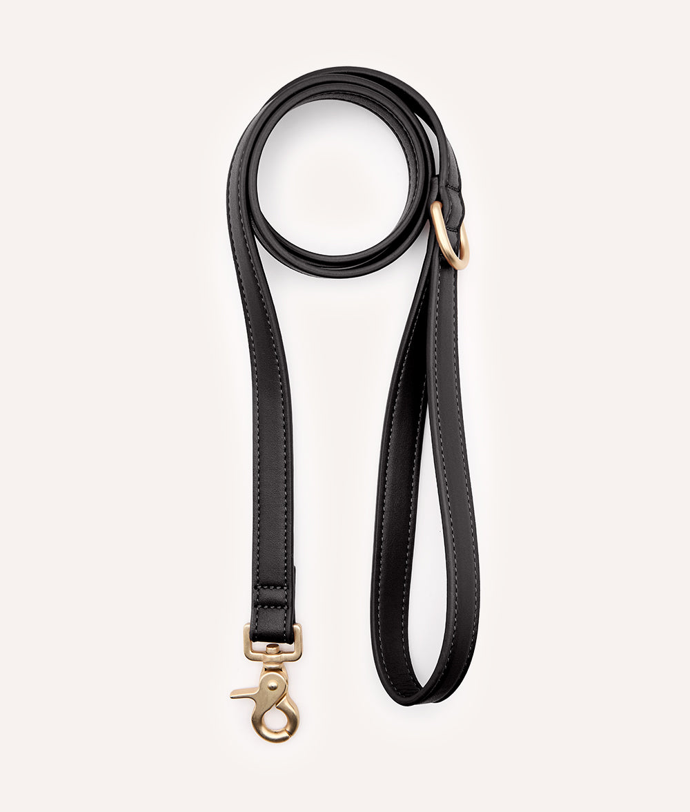 Schwarz Hundeleine aus Veganem Leder 1,4 m, Jala