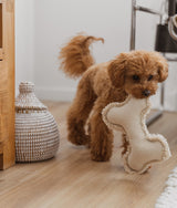 Jouet pour chien os blanc, Fleky