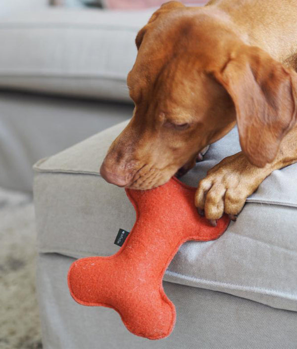 Terracotta Dog Toy, Play