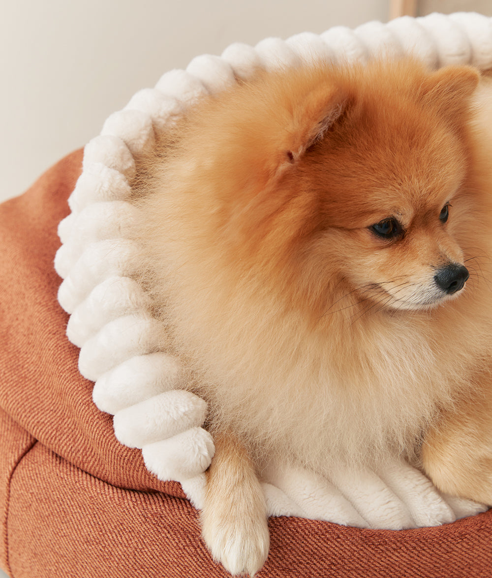 Hundebett aus Cord mit orangefarbener Kapuze, Maso