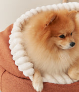 Corduroy Dog Bed with Orange Hood, Maso