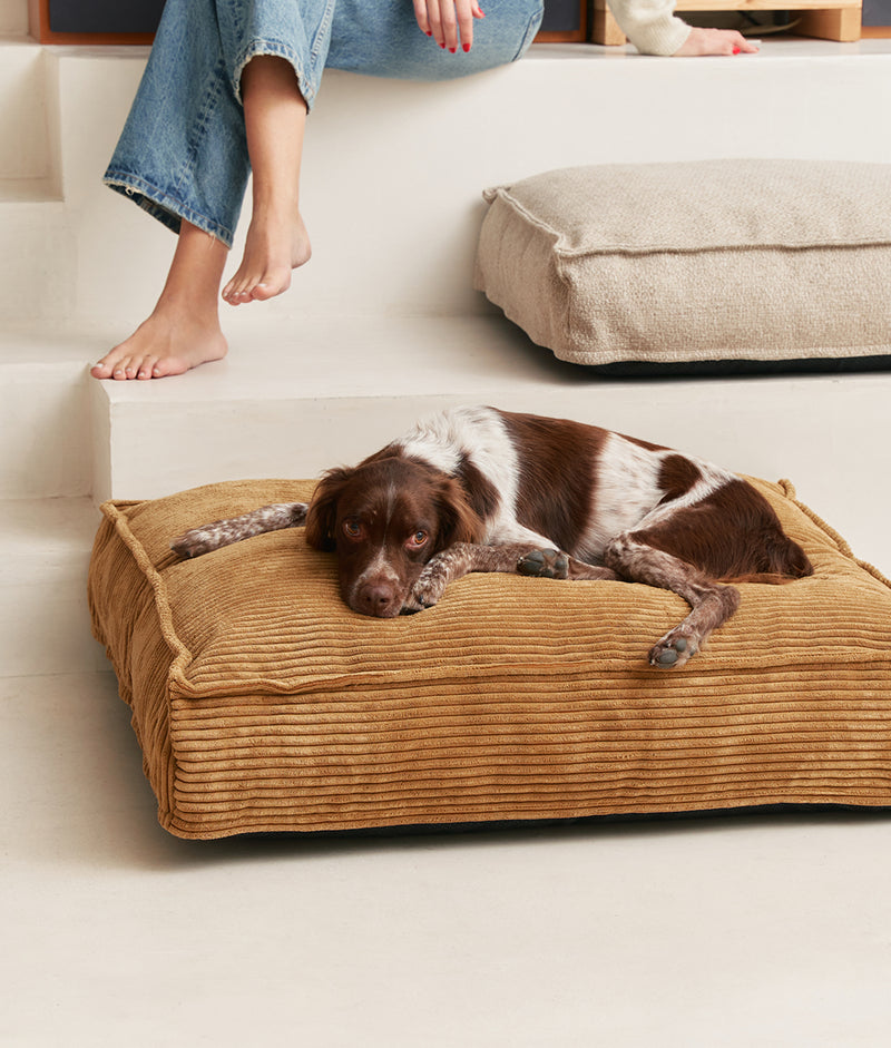 Cama Perro Beige, Cuadra