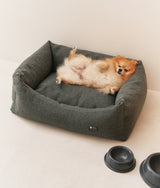 Green Dog Bed, Snozy 