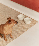 Bone White Ceramic Dog Feeder Bowl 510ml, Mela