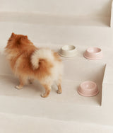 Pale Pink Ceramic Dog Bowl, Bole