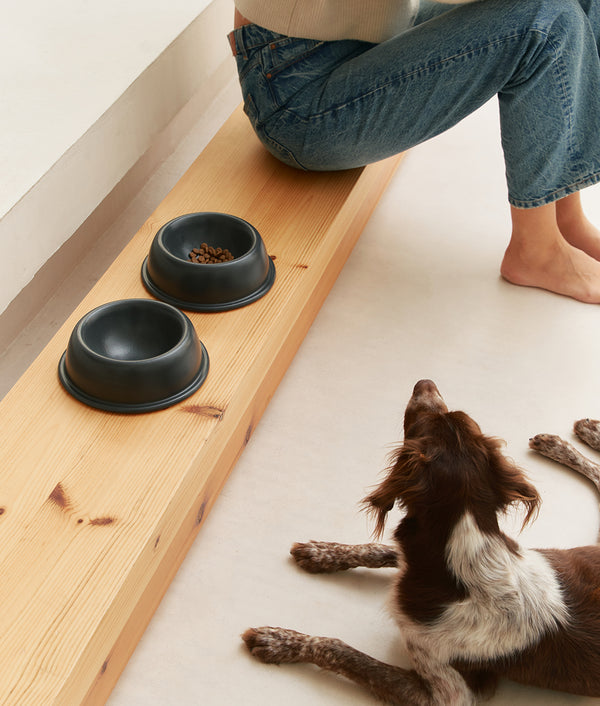 Gamelle pour Chien en Céramique Anthracite, Bole