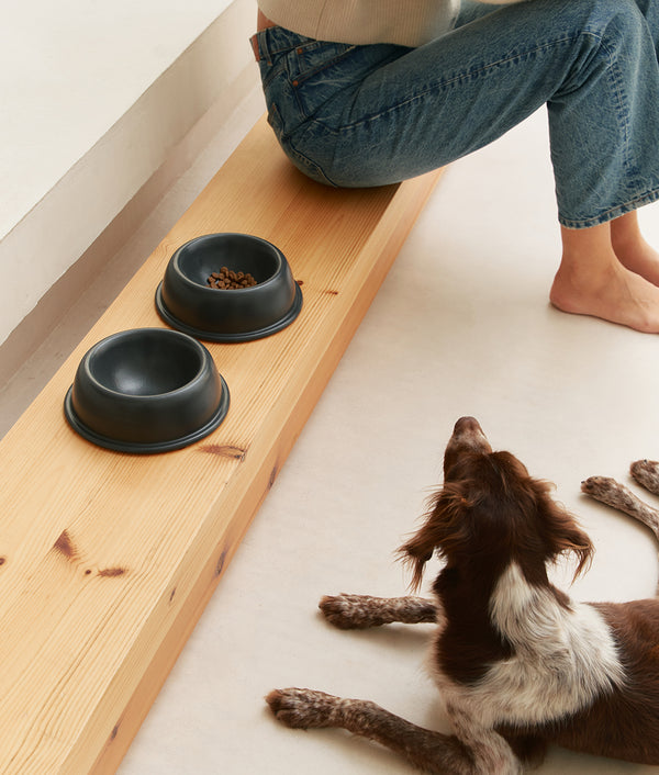 Anthracite Ceramic Dog Feeding Bowl, Bole