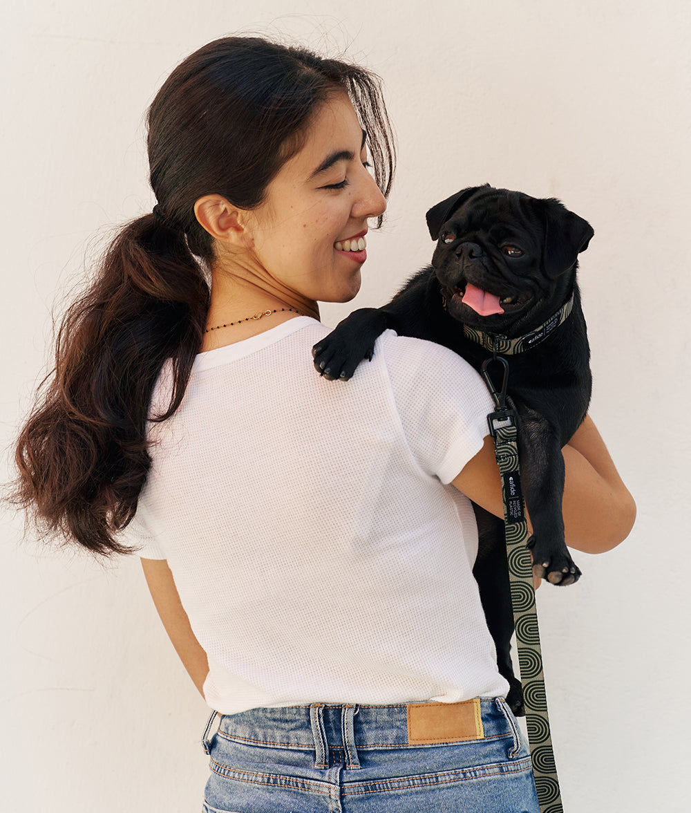 Packhalsband und Leine aus recyceltem PET-Design, Japangrün, Juno