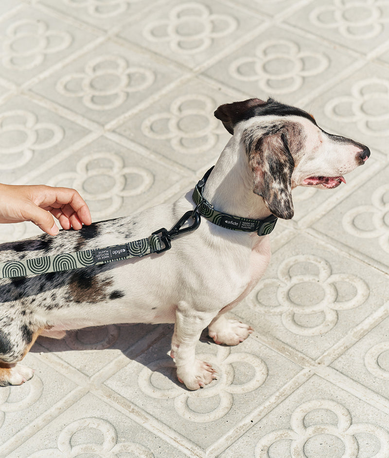 Collier PET Recyclé Japan Design Vert, Juno