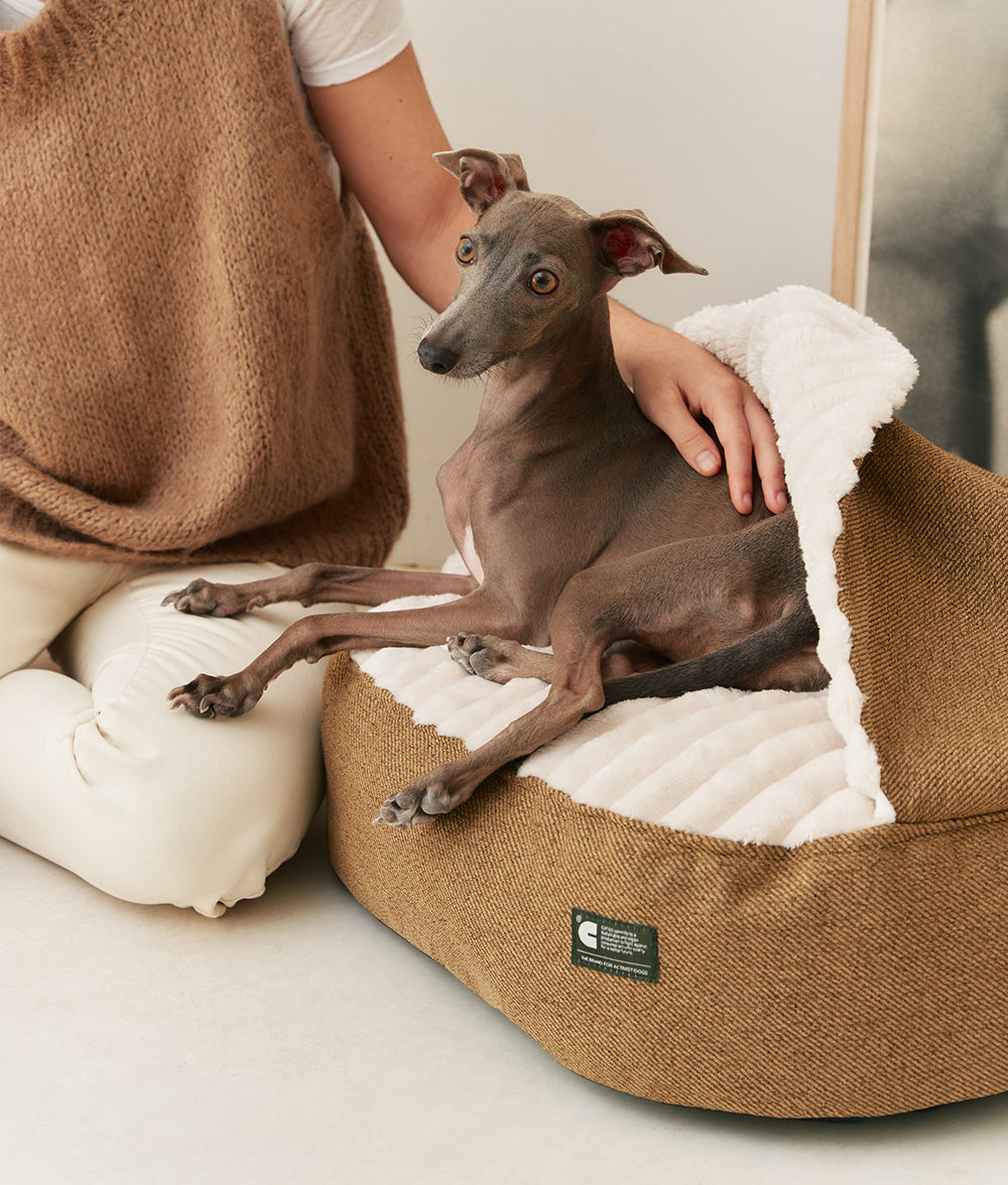 Hundebett aus Cord mit senffarbener Kapuze, Maso