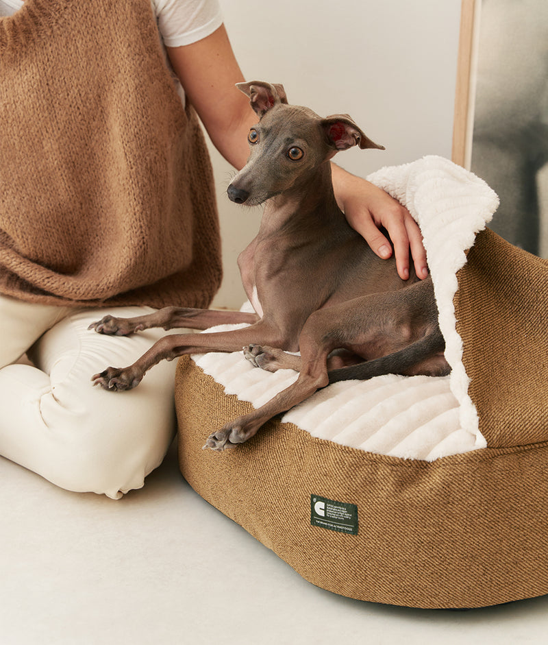 Lit pour chien en velours côtelé avec capuche moutarde, Maso