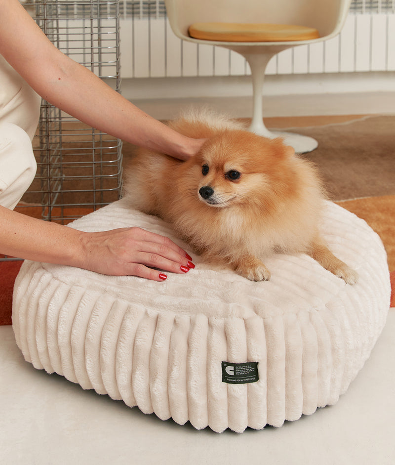 White Corduroy Dog Bed, Maso