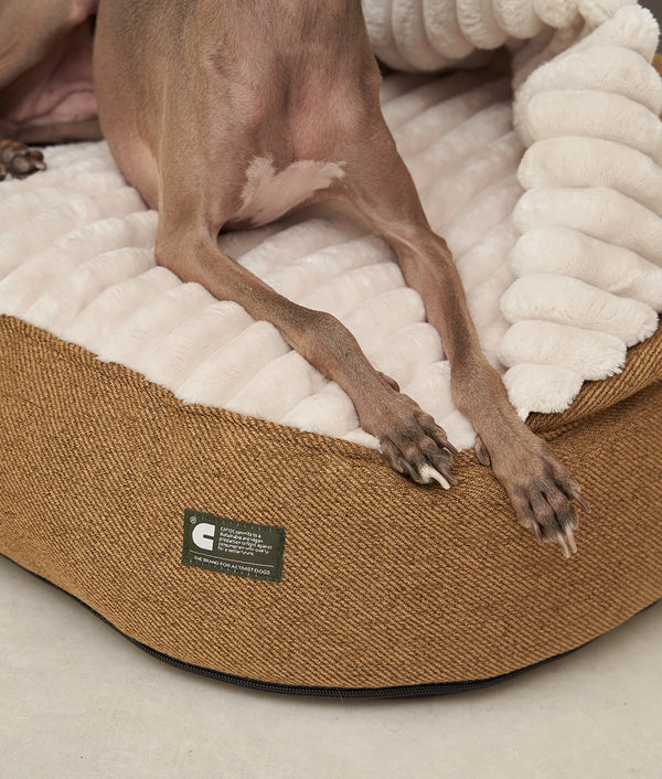 Corduroy Dog Bed with Mustard Hood, Maso