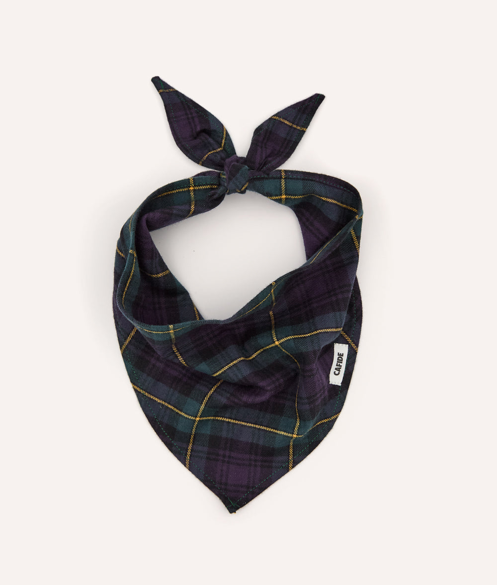 Black Watch Tartan Hundehalstuch, Nata