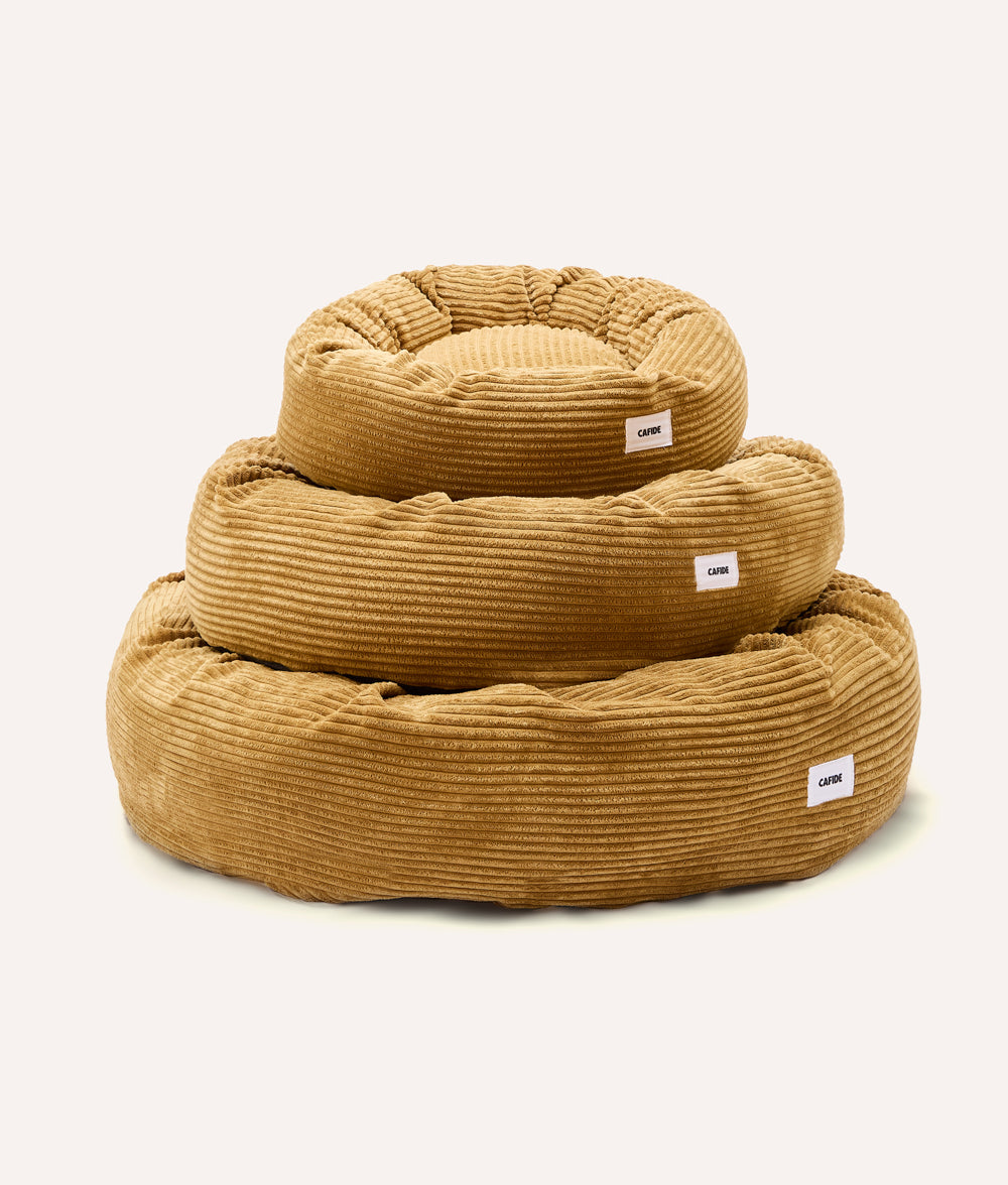 Senfgelbes Cord-Hundebett, Nuba