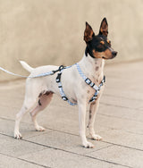 Recycled PET Harness Blue Vichy Design, Juno