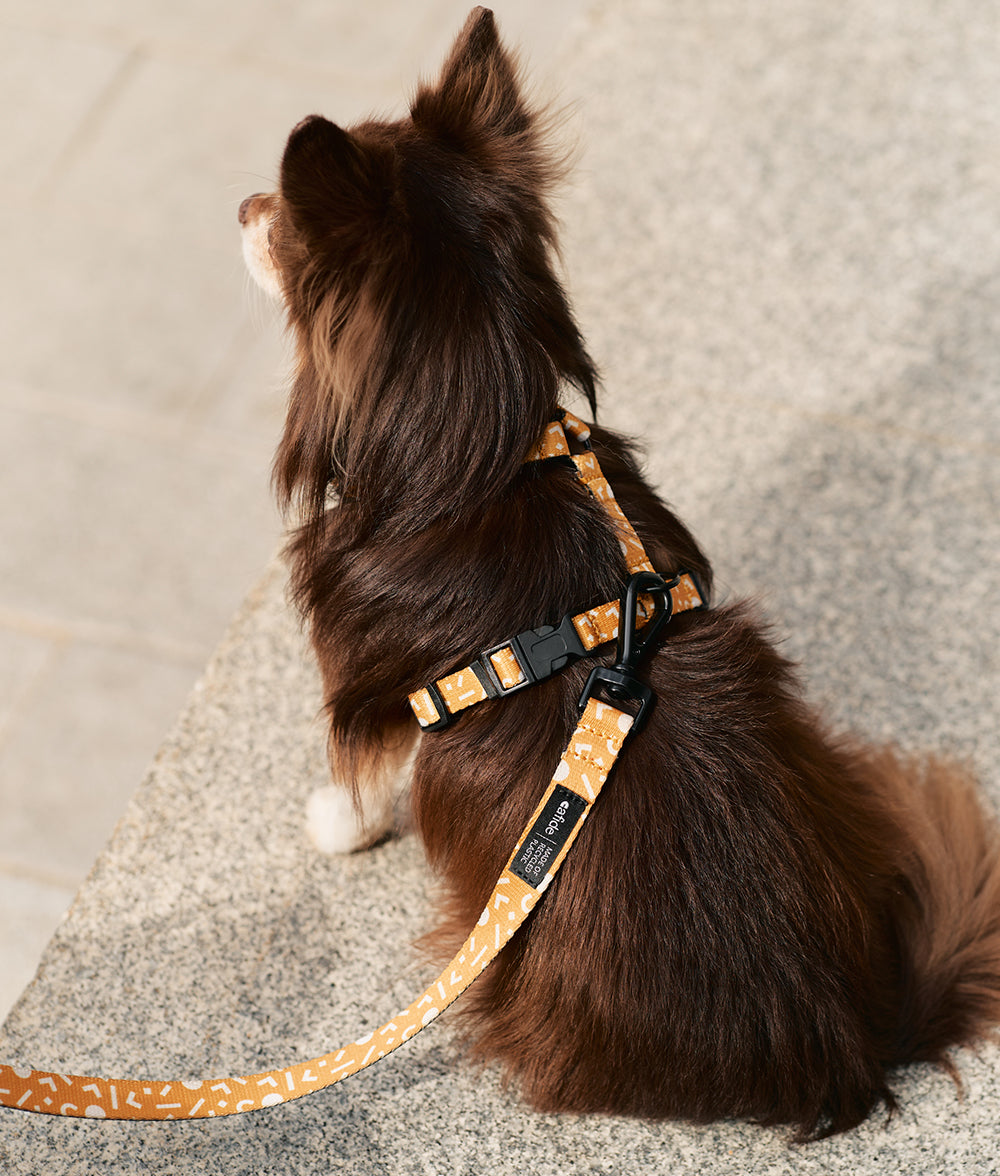 Recyceltes PET-Geschirr und Leinenrucksack Memphis Mustard Design, Juno