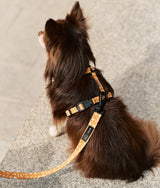 Recycled PET Harness Memphis Design Mustard, Juno