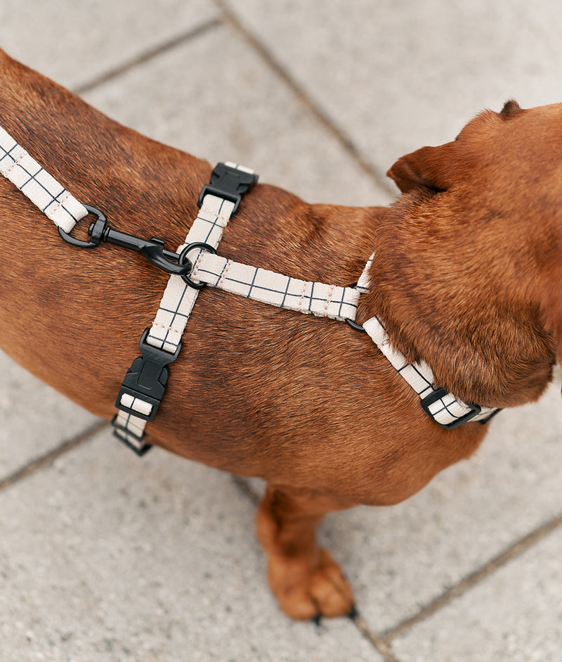 Recycled PET Harness Beige Line Design, Juno