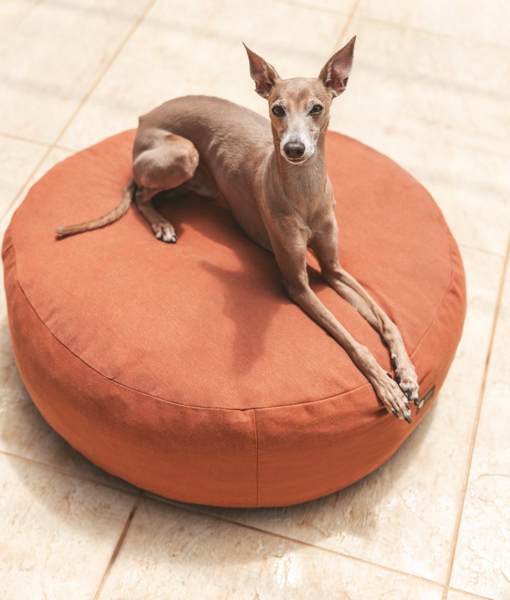Terrakotta-Hundebett für drinnen und draußen, Calos 