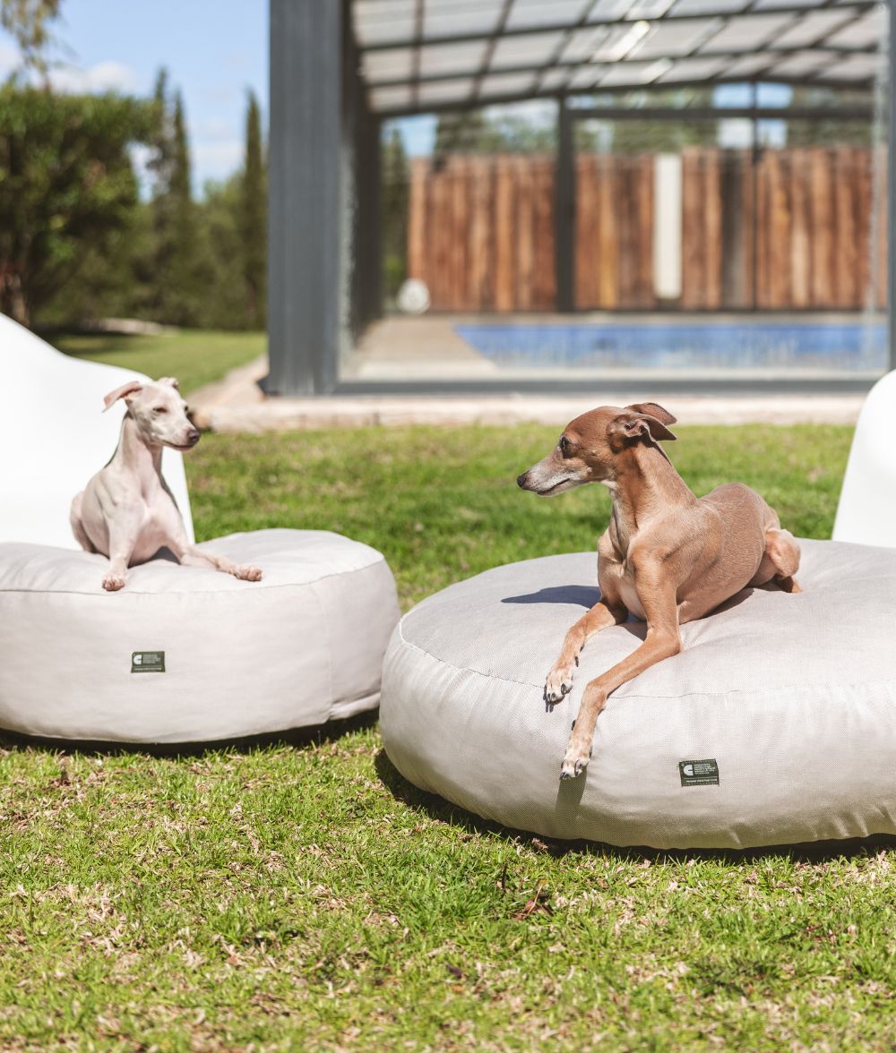 Beigefarbenes Hundebett für drinnen und draußen, Calos 