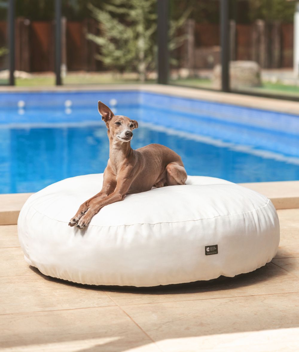 Weißes Hundebett für drinnen und draußen, Calos 