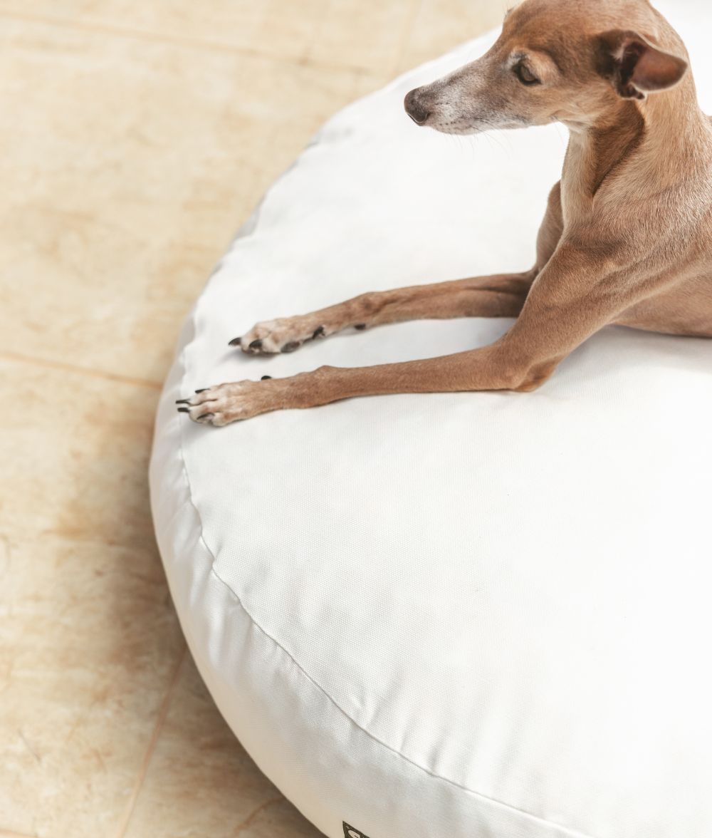 Weißes Hundebett für drinnen und draußen, Calos 