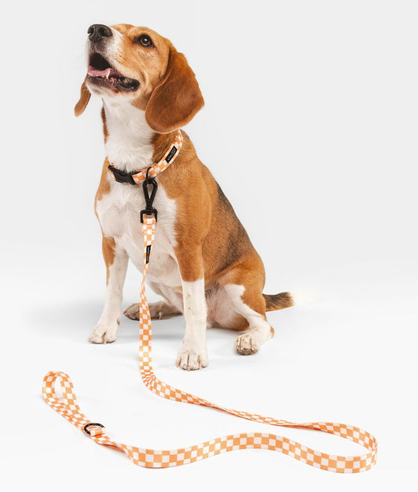 Recycled PET Necklace Peach Orange Design, Juno