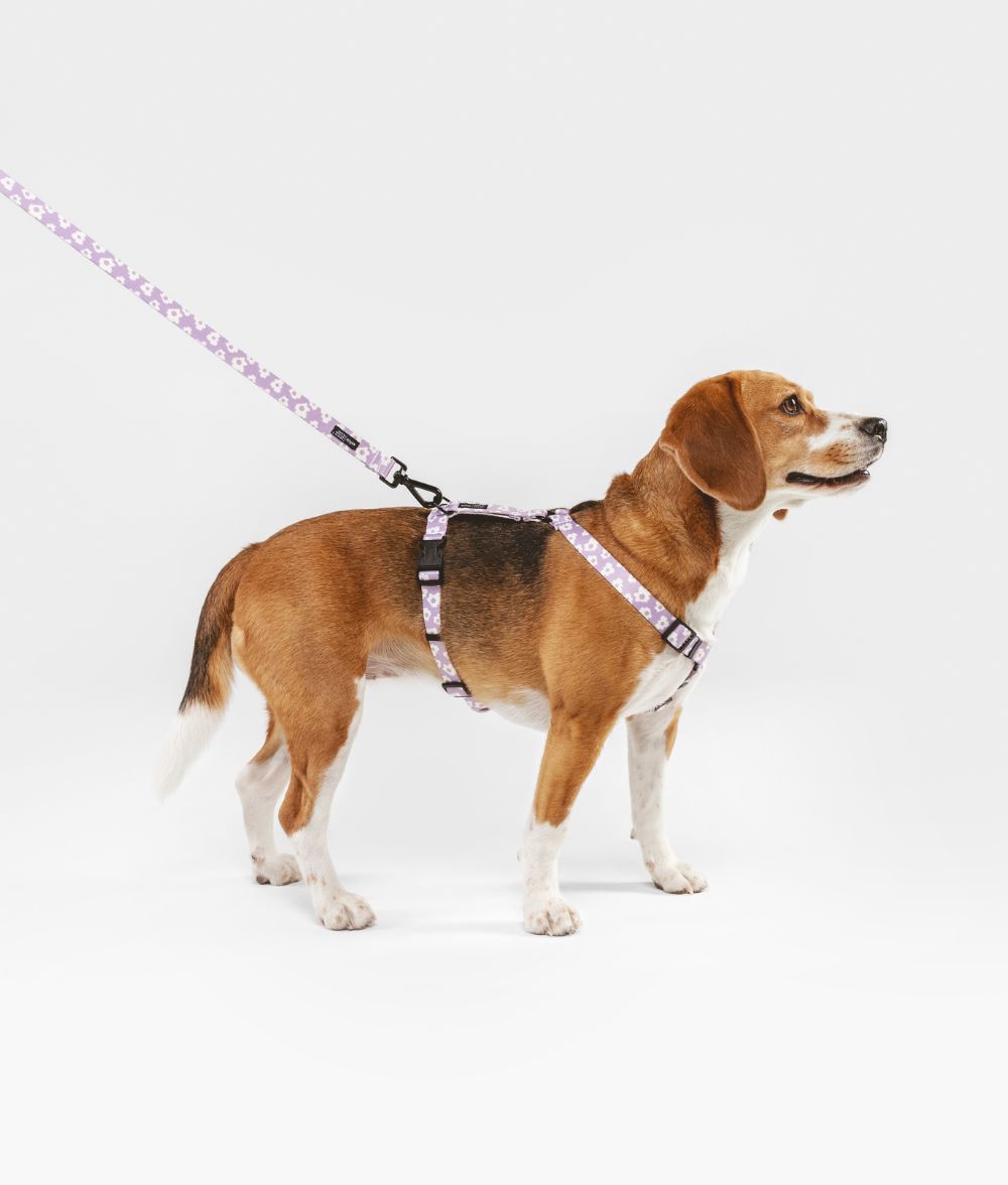 Recyceltes PET-Geschirr und Leinenrucksack Violet Design, Juno