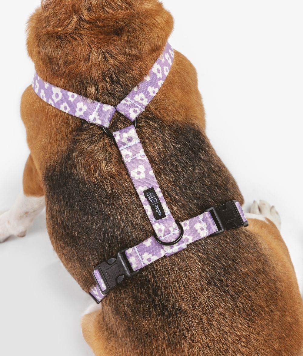 Recyceltes PET-Geschirr und Leinenrucksack Violet Design, Juno