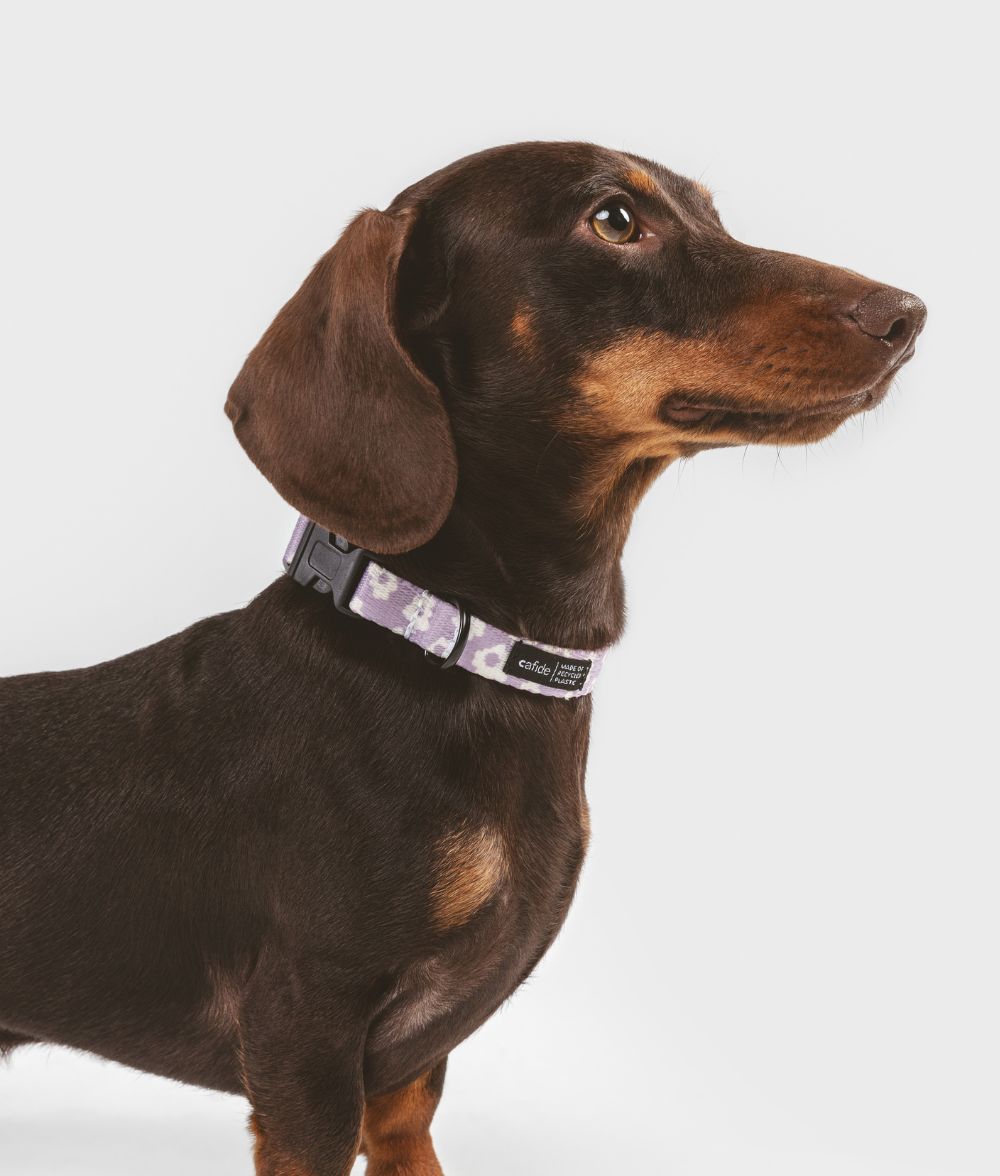 Halskette aus recyceltem PET, violettes Design, Juno