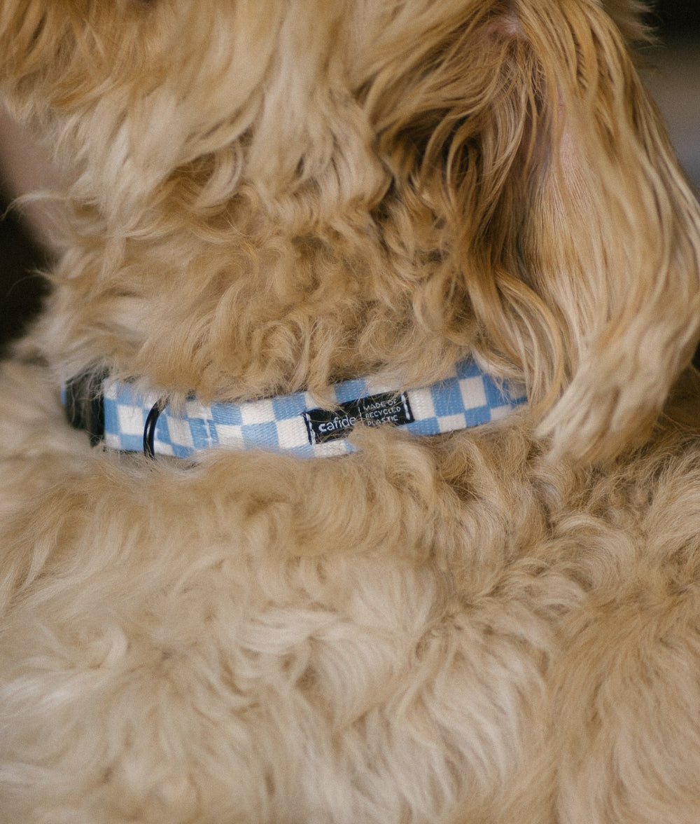 Recyceltes PET-Halsband und Leine, Design Vichy Blau, Juno