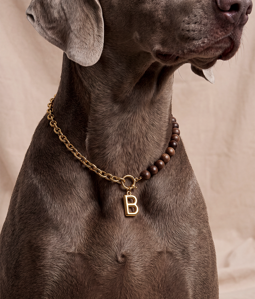 Gold Dog Collar with Wood, Sira
